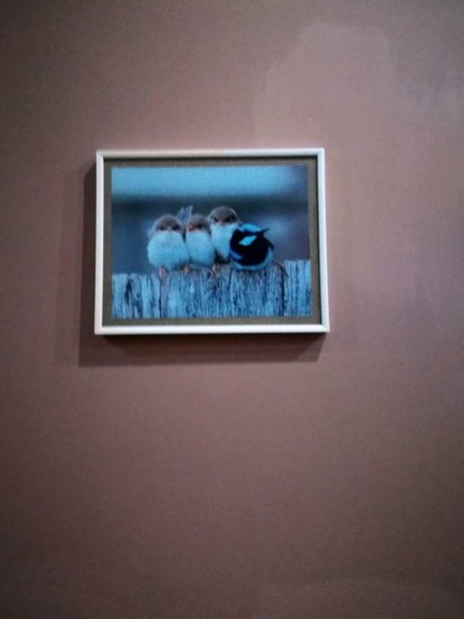 Daire Birdhome In Tiflis